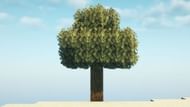 Jerm's Better Leaves also brings shader support, which Motschen does not offer. (Image via Sportskeeda Gaming || Mojang Studios)